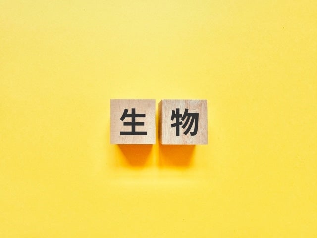 私立高校/理科/生物/常勤教員/2027年度/神奈川県横浜市